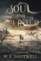 book cover for Soul and Splinter