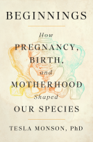 book cover for Beginnings
