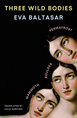book cover for Three Wild Bodies