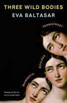 book cover for Three Wild Bodies