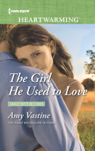 book cover for The Girl He Used To Love