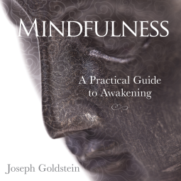 book cover for Mindfulness