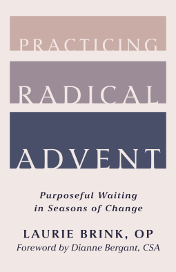 book cover for Practicing Radical Advent