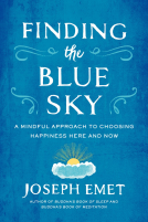 book cover for Finding the Blue Sky