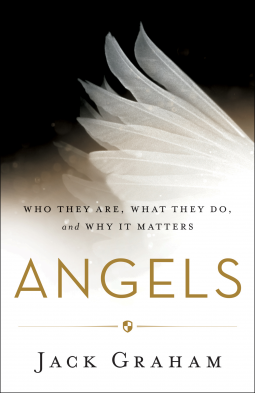 book cover for Angels