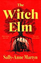 book cover for The Witch Elm