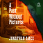book cover for A Past Without Pictures