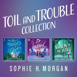 book cover for Toil and Trouble Collection