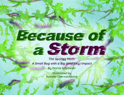 book cover for Because of a Storm