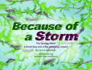 book cover for Because of a Storm