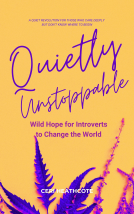 book cover for Quietly Unstoppable