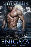 book cover for Enigma
