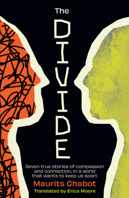book cover for The Divide