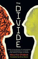 book cover for The Divide