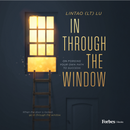 book cover for In Through the Window