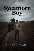 book cover for Sycamore Boy