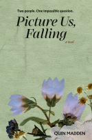 book cover for Picture Us, Falling
