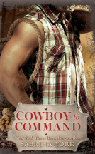 book cover for Cowboy to Command