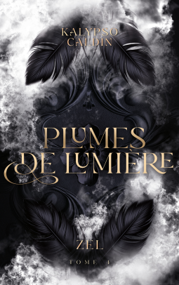 Couverture du livre pour Plumes de feu - Zel - tome 4