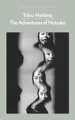 book cover for The Adventures of Natsuko