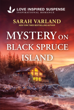 book cover for Mystery on Black Spruce Island