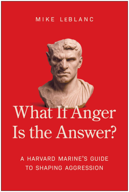 book cover for What If Anger Is the Answer?