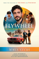 book cover for Flywheel