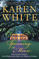 book cover for Spinning the Moon