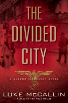 book cover for The Divided City