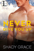book cover for Never Give You Up