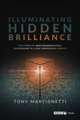 book cover for Illuminating Hidden Brilliance