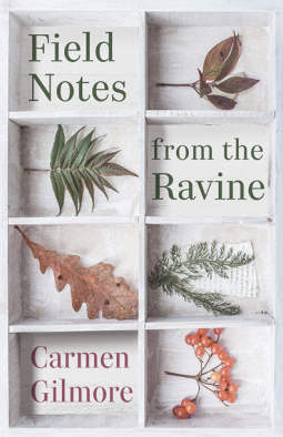 book cover for Field Notes from the Ravine