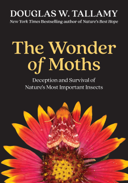 book cover for The Wonder of Moths