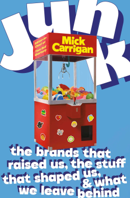 book cover for Junk