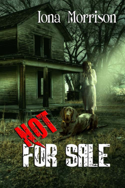 book cover for Not for Sale