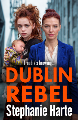 book cover for Dublin Rebel