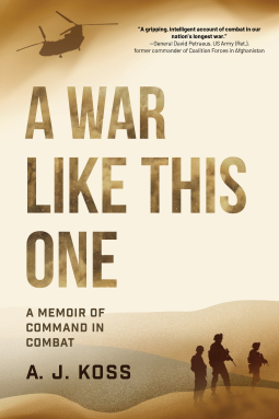 book cover for A War Like This One