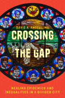 book cover for Crossing the Gap