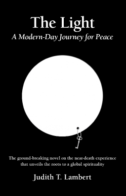 book cover for The Light