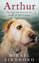 book cover for Arthur