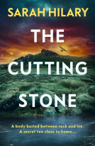 book cover for The Cutting Stone