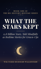 book cover for What the Stars Kept