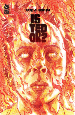 book cover for Is Ted OK?