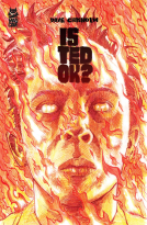 book cover for Is Ted OK?