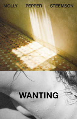 book cover for Wanting