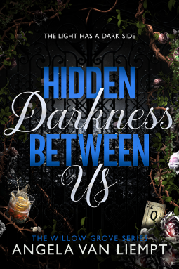 book cover for Hidden Darkness Between Us