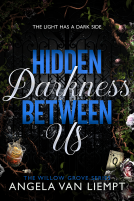 book cover for Hidden Darkness Between Us