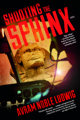 book cover for Shooting the Sphinx