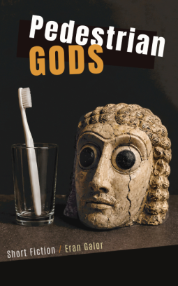 book cover for Pedestrian Gods