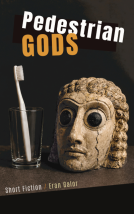 book cover for Pedestrian Gods